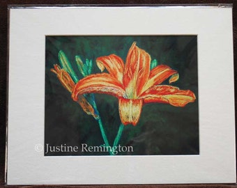 Daylily pastel painting giclee reproduction print in off-white mat