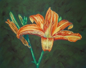 Daylily original pastel painting