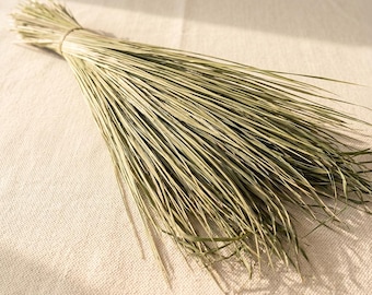 Loose Sweetgrass Bundles | Organically Cultivated Dried Strands | Hierochloe odorata