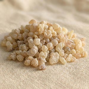 Boswellia Sacra Incienso Lágrimas Pequeñas de Omán / Trozos de Resina Omaní para Mezclas de Incienso