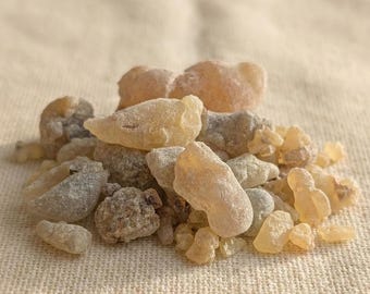 Boswellia Serrata de la India / Resina de incienso indio Salai Guggal