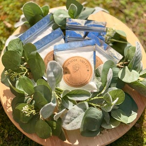 Non-Toxic Laundry Detergent sample pack