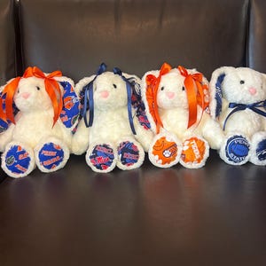 CUSTOM sec/College/nfl/nhl/mlb bunny
