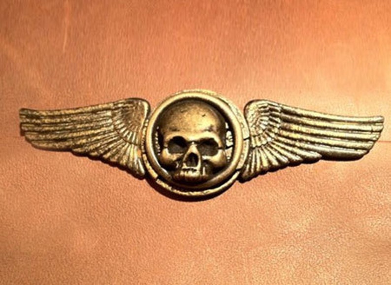 Winged Skull Pin Steampunk image 1