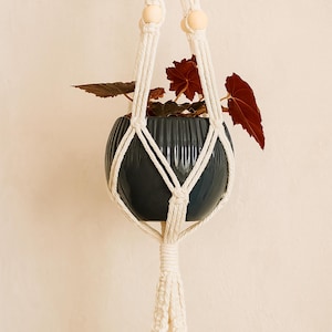 Macrame Double Plant Hanger: Boho Indoor Spring Decor
