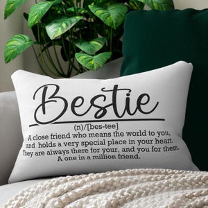 Friendship Lumbar Pillow Cover: Bestie Gift Throw Pillow