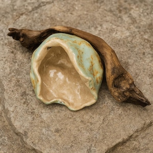 Handmade Ceramic Bowl with Driftwood – Organic Aqua Green Wabi Sabi Decor – Rustic Art Object – Nature-Inspired Centerpiece