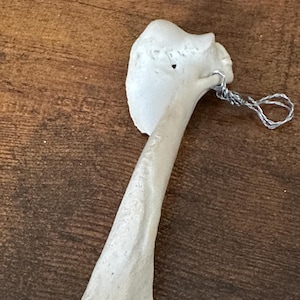 Leg bone pendant