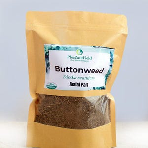 Diodia scandens/Buttonweed - Planta entera seca/ Hierbas silvestres de África