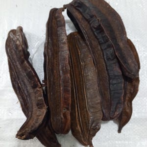 Puede incluir: Primer plano de varias vainas de semillas alargadas de color marrón oscuro. Las vainas tienen una superficie texturizada con crestas visibles y una forma ligeramente curvada. Las vainas están dispuestas sobre una superficie blanca.