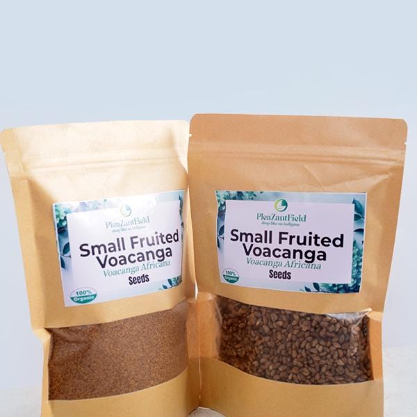 Voacanga africana（ボアカンガ・アフリカーナ）の種子 500粒 Voacanga africana 種子 西アフリカ原産 希少 熱帯植物 ボアカンガ
