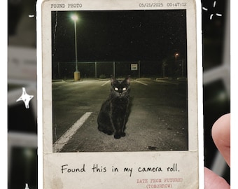 Liminal Space Parking Lot Sticker | Found Footage Black Cat Decal | Weirdcore Analog Horror Camera Roll Sticker, Creepy Cat Art, Time Travel