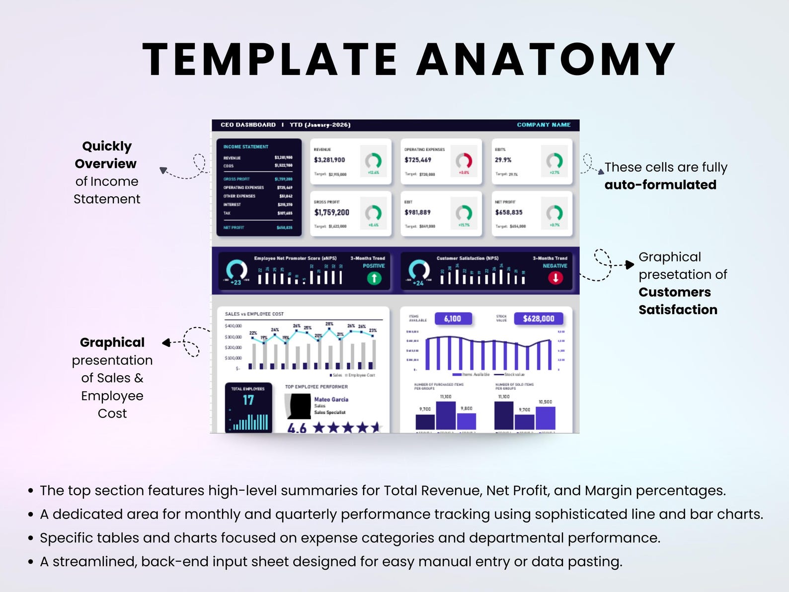 CEO Dashboard Excel Template | Business Financial KPI Tracker | Revenue ...
