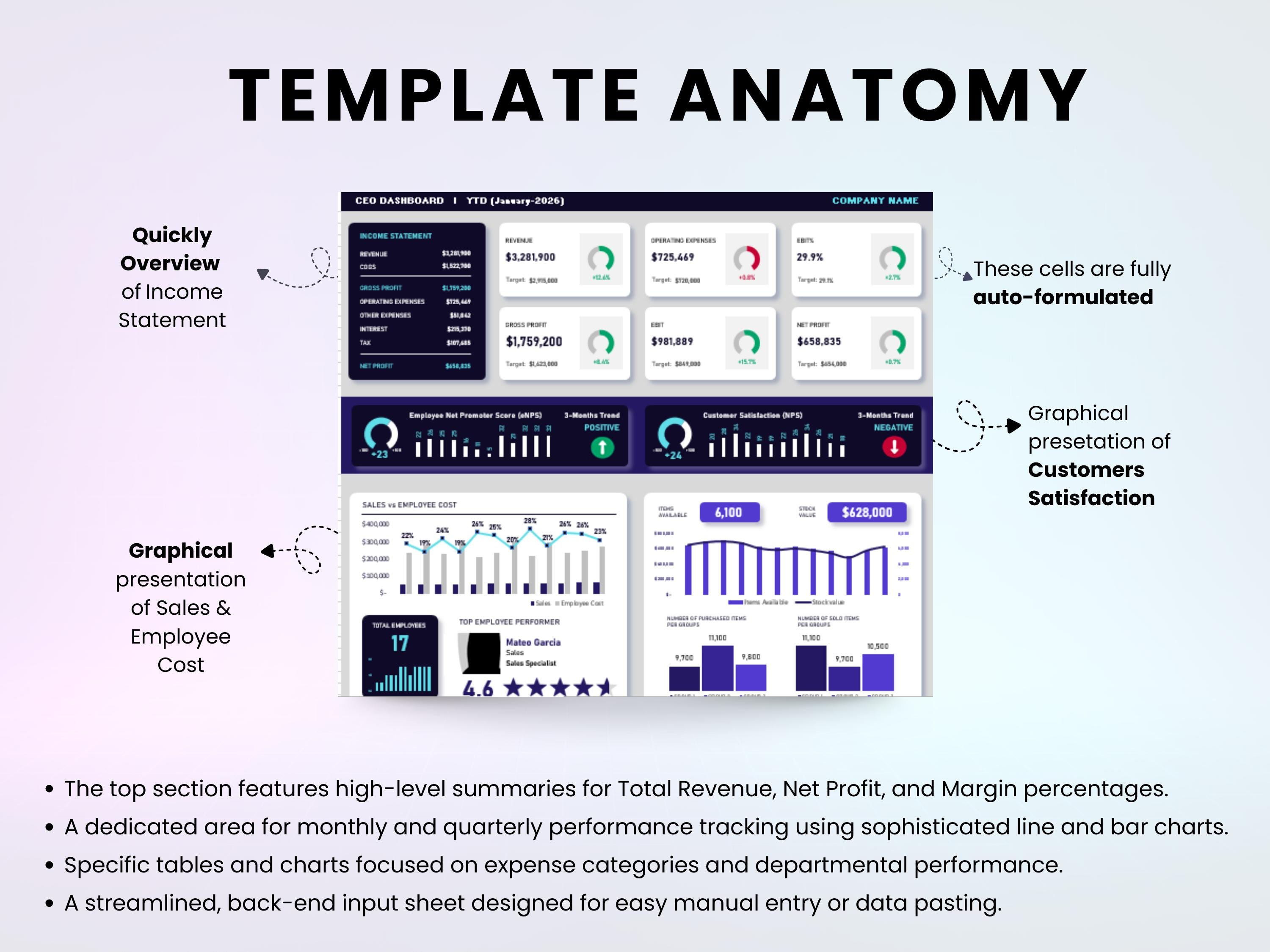 CEO Dashboard Excel Template | Business Financial KPI Tracker | Revenue ...