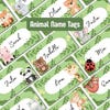 Editable Classroom Labels | Wild Animals & Birds - Etsy Canada