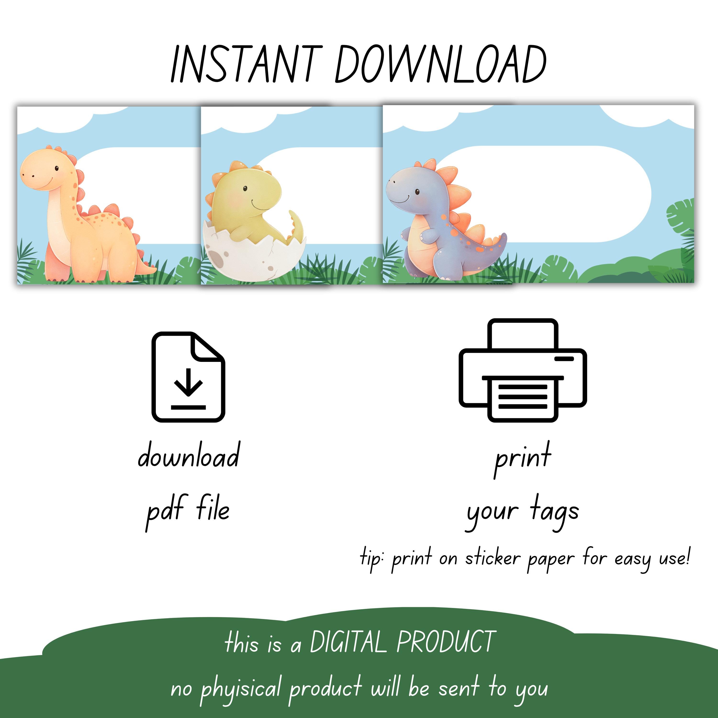 Editable Dinosaur Name Tags | Classroom, Birthday Party (digital ...