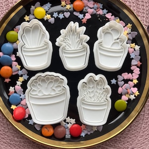 May include: Five white plastic cookie cutters shaped like various potted succulents and cacti. The cutters are arranged on a black plate with a gold rim, surrounded by colorful round candies and small star and heart-shaped sprinkles.