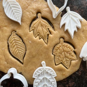 Leaf cookie cutter set, Fall leaf cookie mold, Autumn polymer clay cutter, Fondant leaf shape cutter, Maple oak biscuit cutter for baking