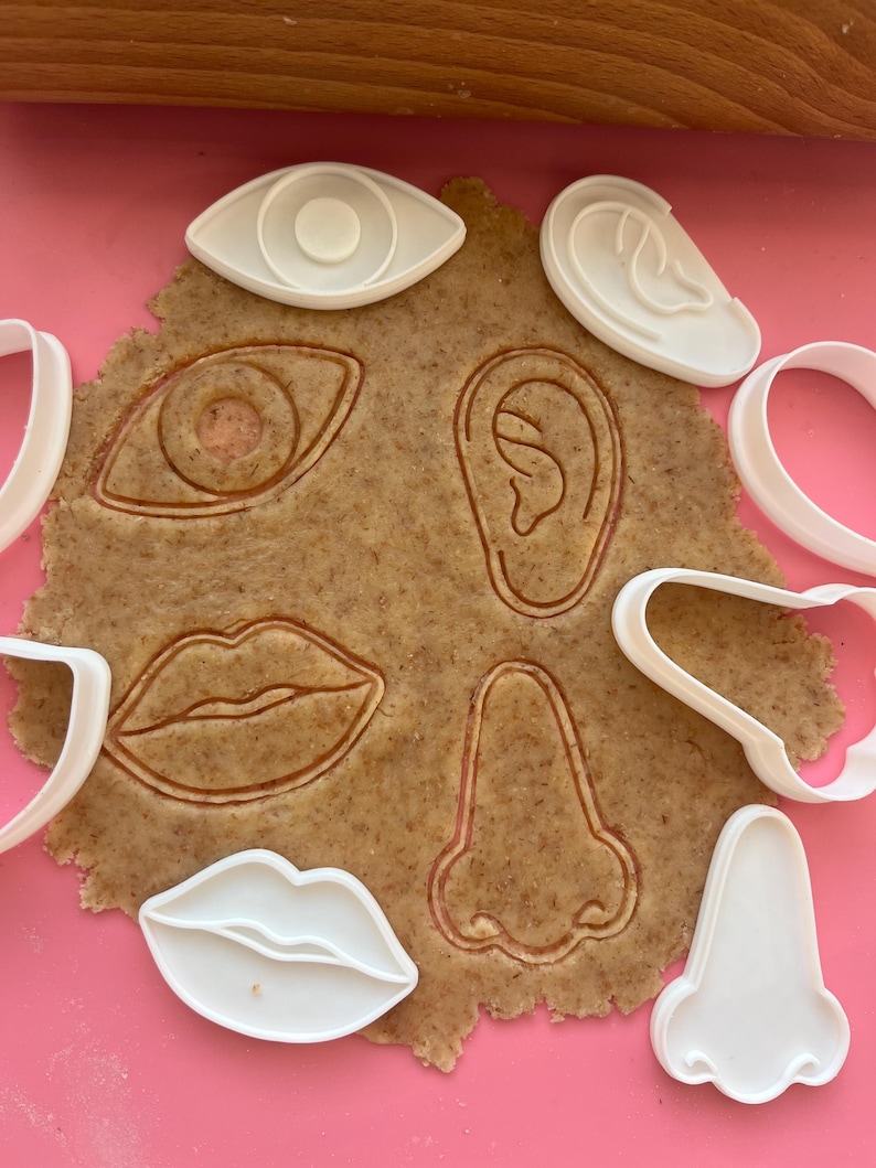 Human Cutter Shape Anatomy Human Face Cookie Cutter Set, Eye Nose Lips Ear Fondant Mold ...