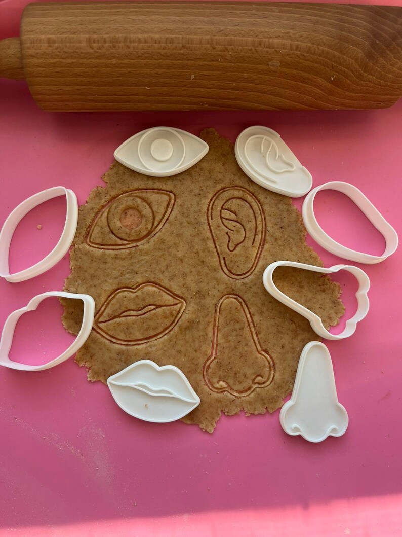 Human Cutter Shape Anatomy Human Face Cookie Cutter Set, Eye Nose Lips Ear Fondant Mold ...