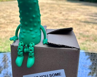 Pickle Ball figurine - Funny Pickle Ball man - Pickle Ball gift - Christmas gift for a Pickle Ball player -Rude Pickle Ball man