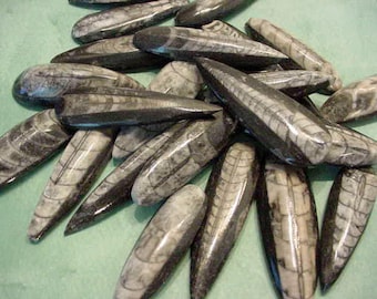 Lot of 4 Fossil Orthoceras cabs (solid), jewelry supplies, wire wrapping  13T121