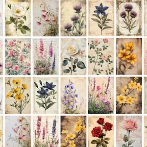 May include: A collection of vintage-style floral art prints. Each print features a different watercolor flower, including roses, sunflowers, and thistles, set against a backdrop of aged paper with script. The color palette includes pinks, yellows, purples, and blues.