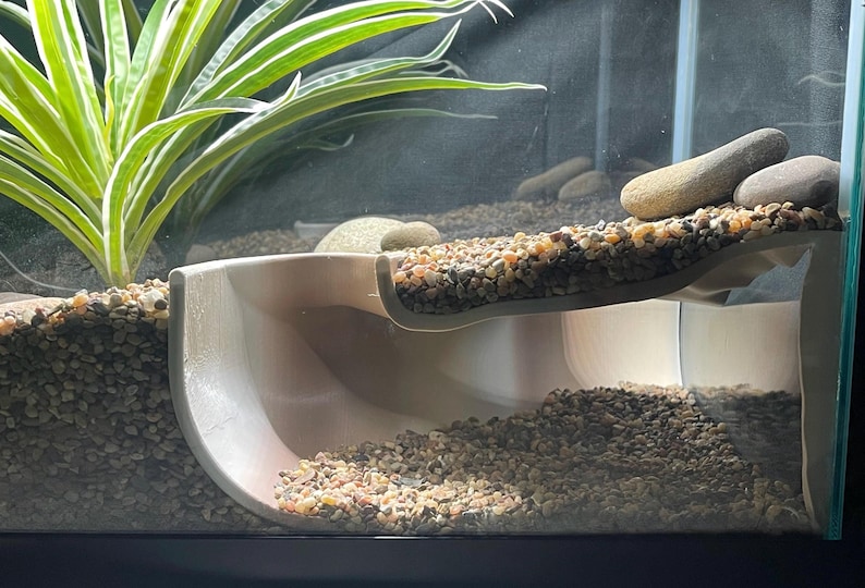 Serpent Suite - terrarium reptile hide/cave zdjęcie 4