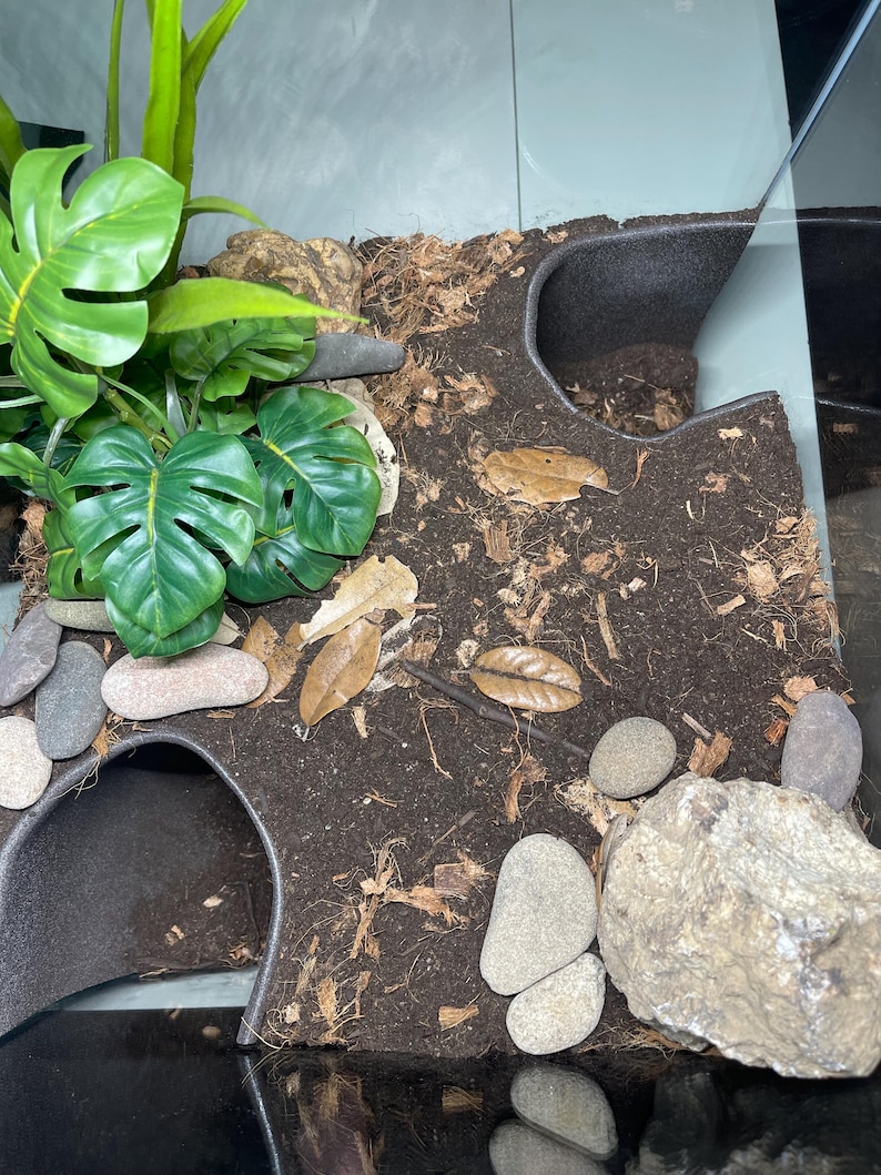 Serpent Suite - terrarium reptile hide/cave zdjęcie 8