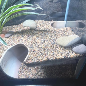 Terrarium/Reptile Cave - Serpent Suite/Snake Cave - Custom sizing available