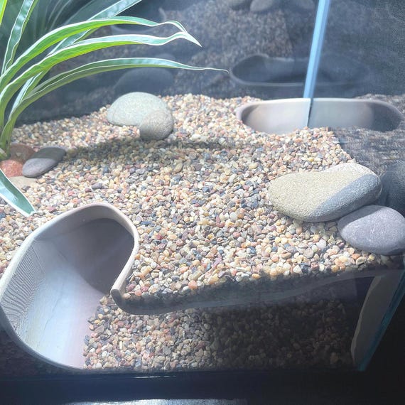 Serpent Suite - terrarium reptile hide/cave
