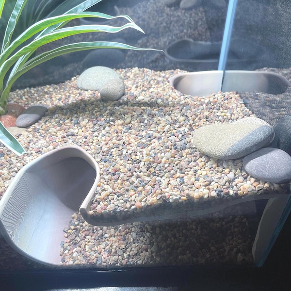 Serpent Suite - terrarium reptile hide/cave