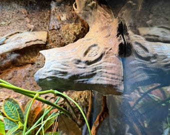 Crestie Cottage - Crested Gecko Terrarium Hide