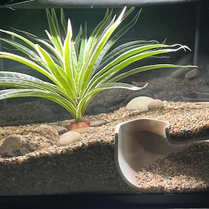 Serpent Suite - terrarium reptile hide/cave zdjęcie 3