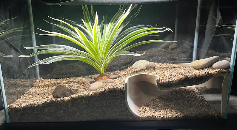 Serpent Suite - terrarium reptile hide/cave zdjęcie 3