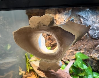 Crestie Cottage - Crested Gecko Terrarium Hide