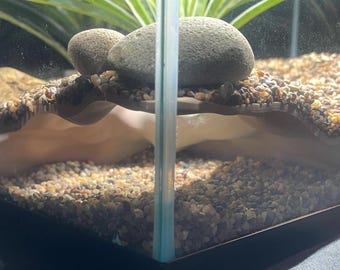 Terrarium/Reptile/Axolotl Cave - Dragons Den /Visible Terrarium - Medium Custom Sizing Available