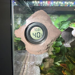 Natural Terrarium Magnetic Hydrometer/Thermometer