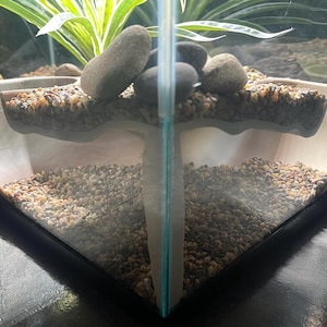 Serpent Suite - terrarium reptile hide/cave zdjęcie 2