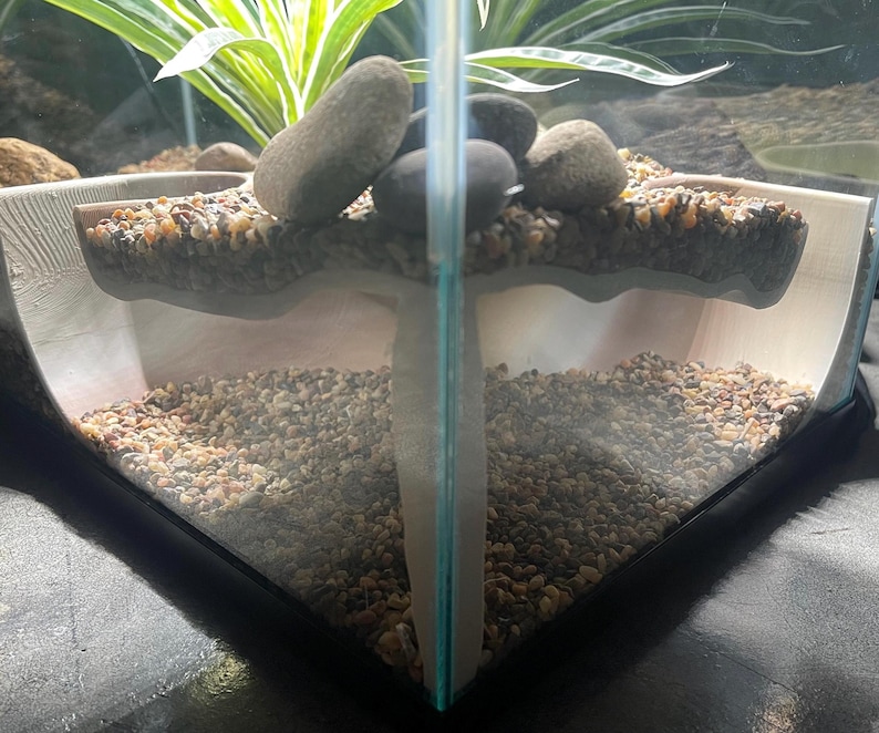 Serpent Suite - terrarium reptile hide/cave zdjęcie 2