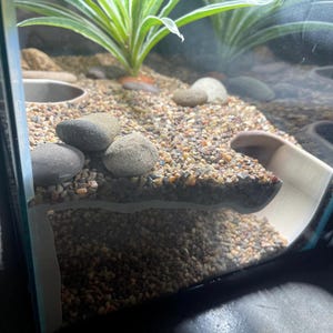 Serpent Suite - terrarium reptile hide/cave zdjęcie 5