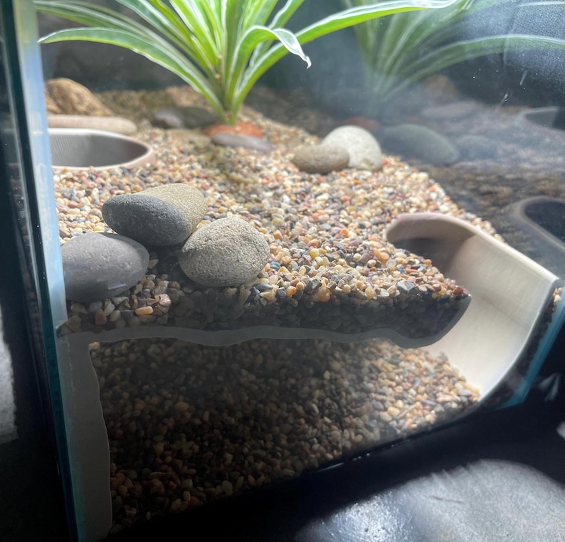 Serpent Suite - terrarium reptile hide/cave zdjęcie 5