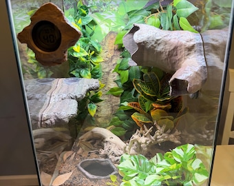 Crested Gecko Starter Kit: Caves, Magnetic Feeder Dish, Thermometer - Enclosure not included