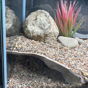 Terrarium/Reptile Cave - Gecko Grotto/Visible Terrarium - Custom Size Available