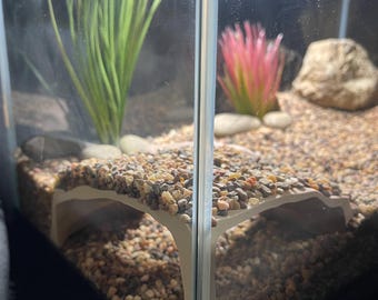 Lizard Lounge /Visible Terrarium Hide/Cave for Reptiles/Exotic pets