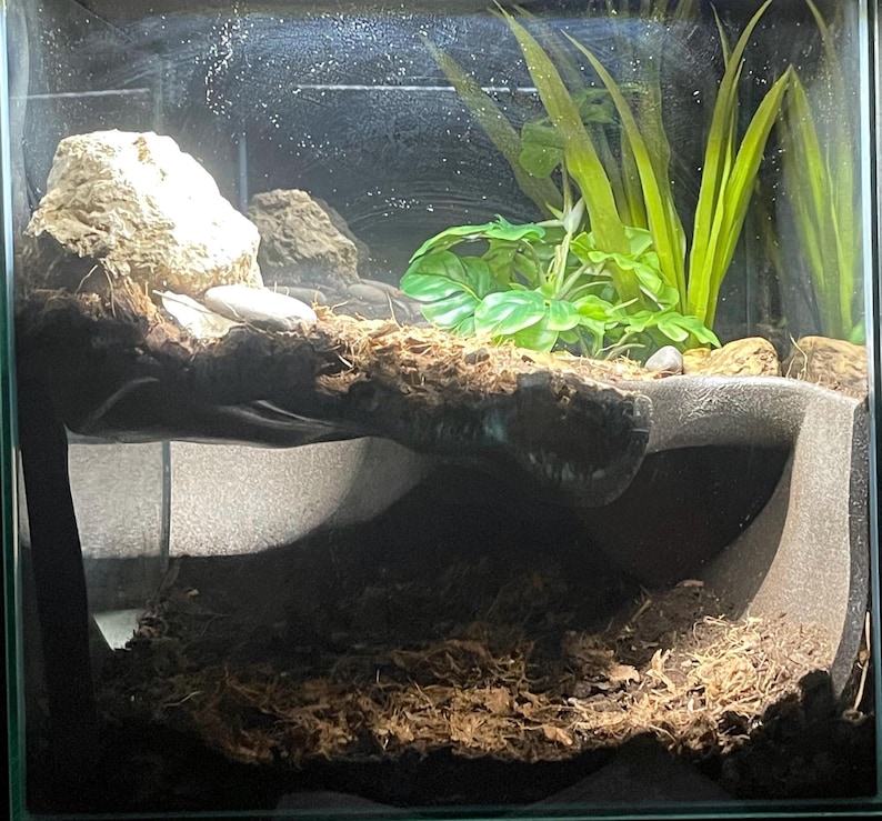 May include: A glass terrarium with a naturalistic setup. It contains a large, light-coloured rock, a piece of driftwood, and artificial green plants. The substrate appears to be a mix of soil and shredded bark.