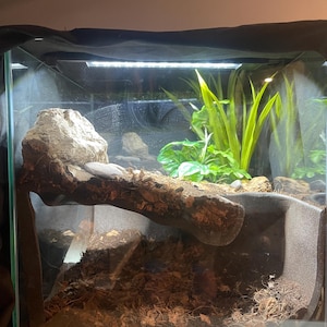 Serpent Suite - terrarium reptile hide/cave zdjęcie 7