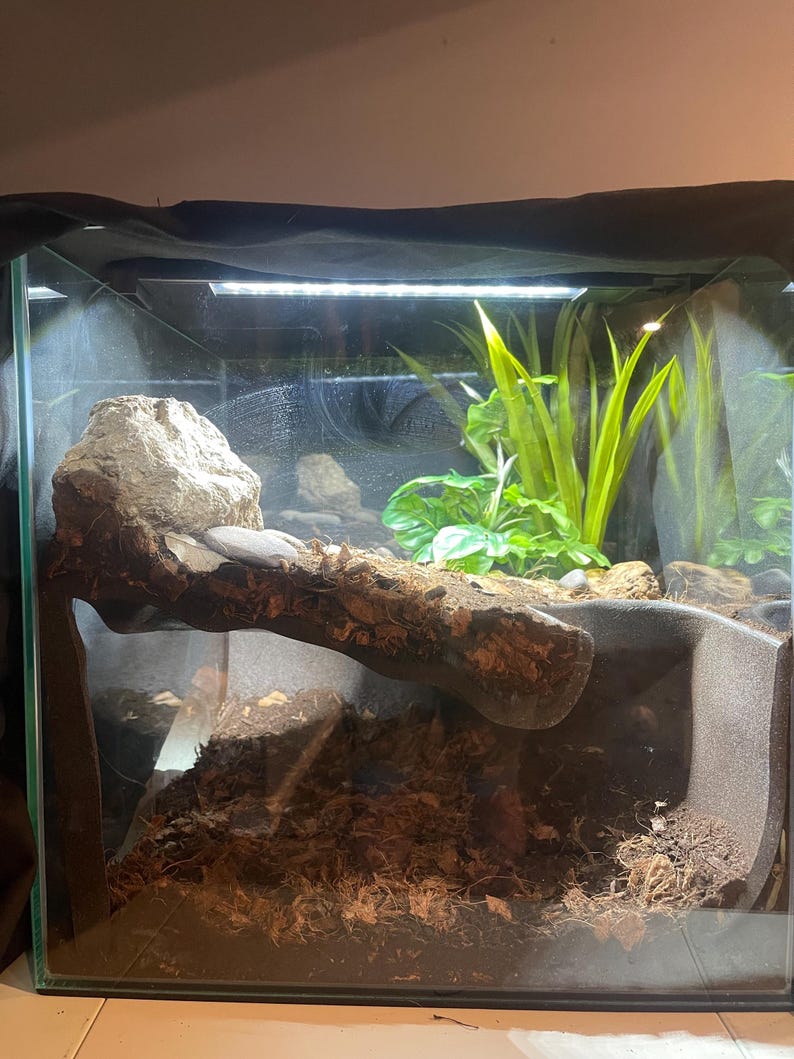 Serpent Suite - terrarium reptile hide/cave zdjęcie 7