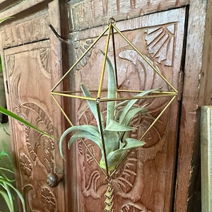 May include: A gold geometric hanging planter with a green air plant inside. The planter has a crystal hanging from the bottom.