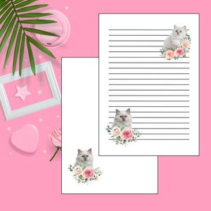 Papel de Carta e envelope Gato Floral